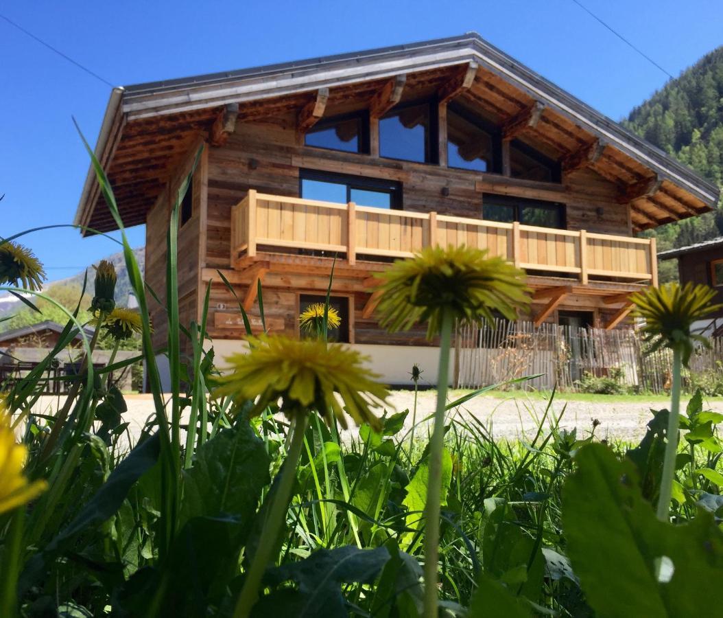 Chalet Le Petit Nicolas, Jacuzzi, Vue Mont Blanc Chamonix Mont Blanc Exterior foto